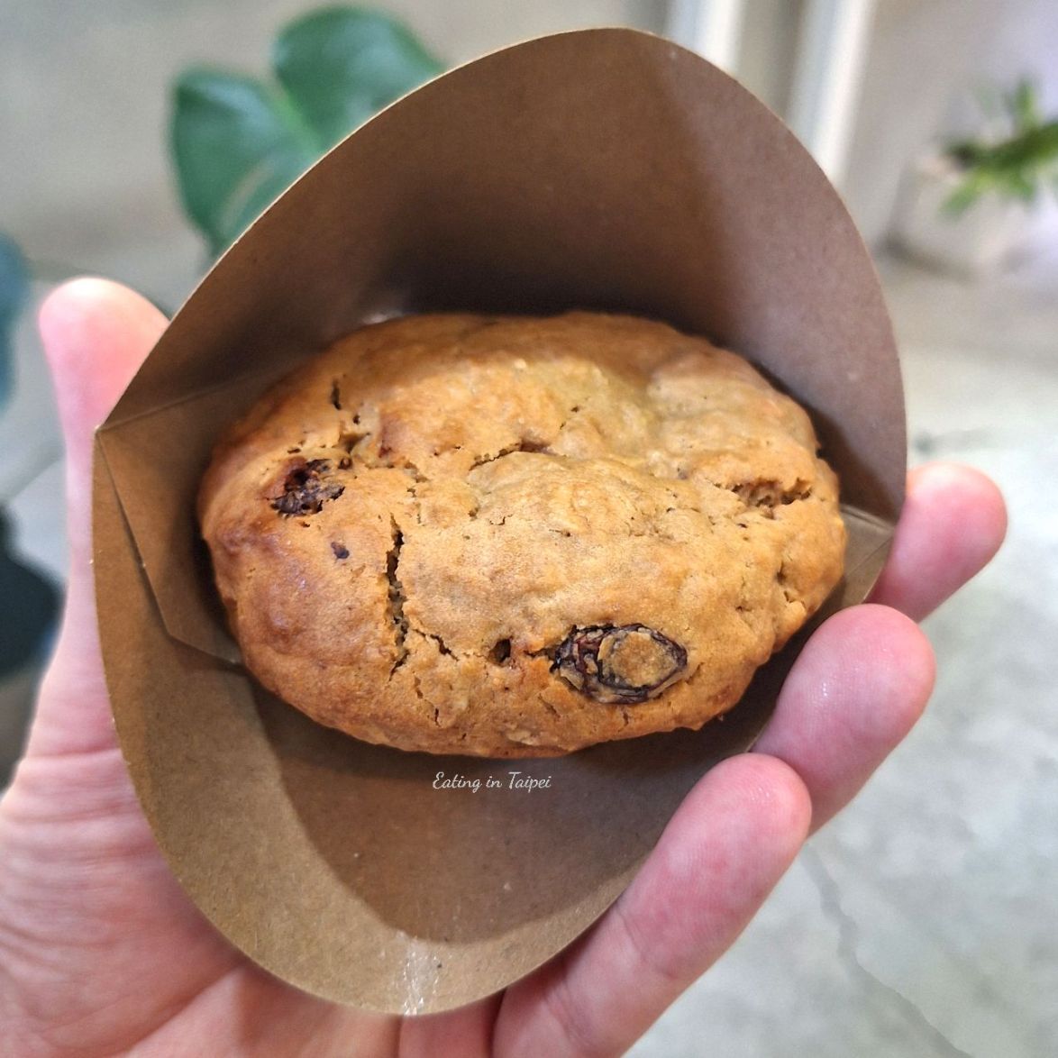 CookieDPT oatmeal raisin